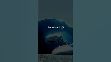 سورة الحجرات { ٦ ــ ٧ } #ياسر_الدوسري انشر تؤجر #القران