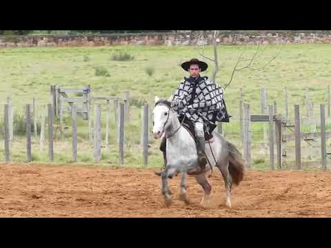 Lote 15   Refinada 1234 da Reconquista