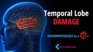 Temporal Lobe Damage: Pathophysiology for Nurses