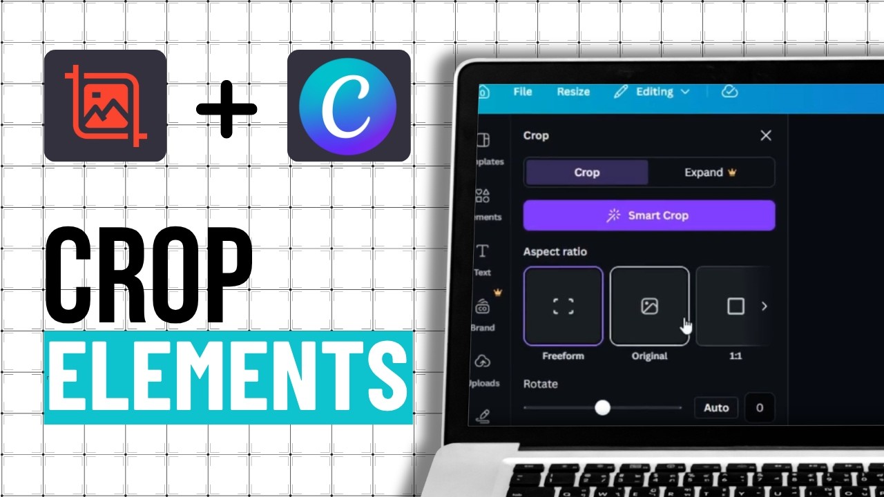 How To Crop Photos And Elements In Canva (Step By Step) - YouTube