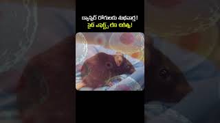 సైడ్ ఎఫెక్ట్స్ లేకుండా క్యాన్సర్ చికిత్స? #shorts #cancer #goodnews #health