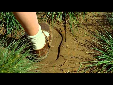 Das Wunder der Natur - Trailer (Deutsch) | HD