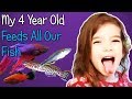 FEEDING ALL MY FISH!  (Teaching My Child How To Prepare Frozen Fish Food)