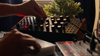 One Knob Solo - Moog Subharmonicon