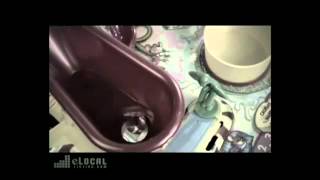 Exterminator in Chester, VA - ANTIPEST Termite & Pest Control