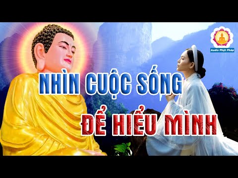 SƯỚNG hay KHỔ là do cách bạn nhìn nhận và suy nghĩ về cuộc đời  - Audio Phật Pháp