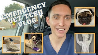 Day in The Life of an Emergency Vet Tech