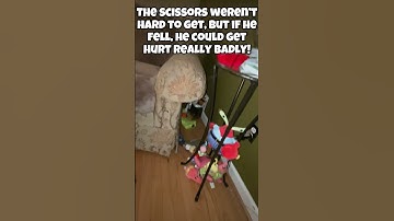 Part 10 #yeeps #funny #fypviralシ #vr #fyp #fy #shorts #viralshort #gorillatag #recroom #yeep #fypage