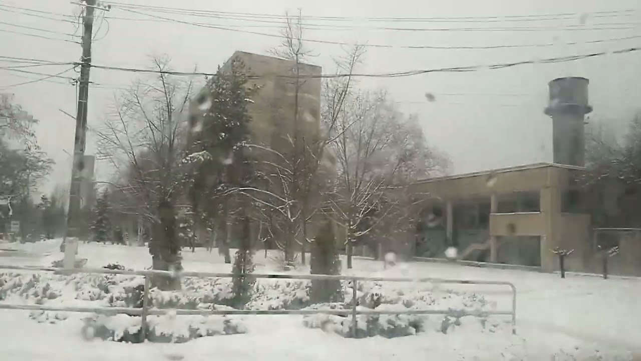 6 января 2026 г 