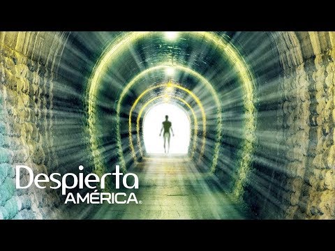 Vídeo: Los Científicos Han Descubierto Los Secretos Del 