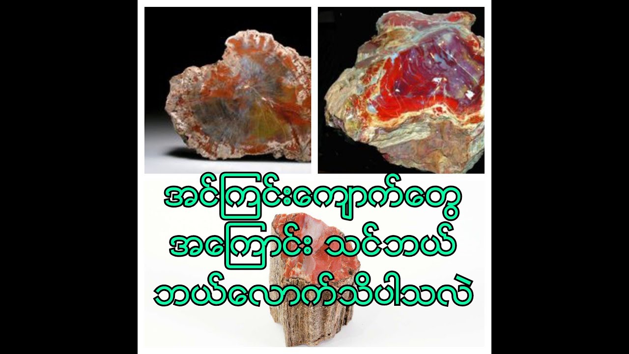 အင်ကြင်းကျောက်တွေဖြစ်ပေါ်လာပုံ HOW IS FOSSILIZED WOOD FORMED?