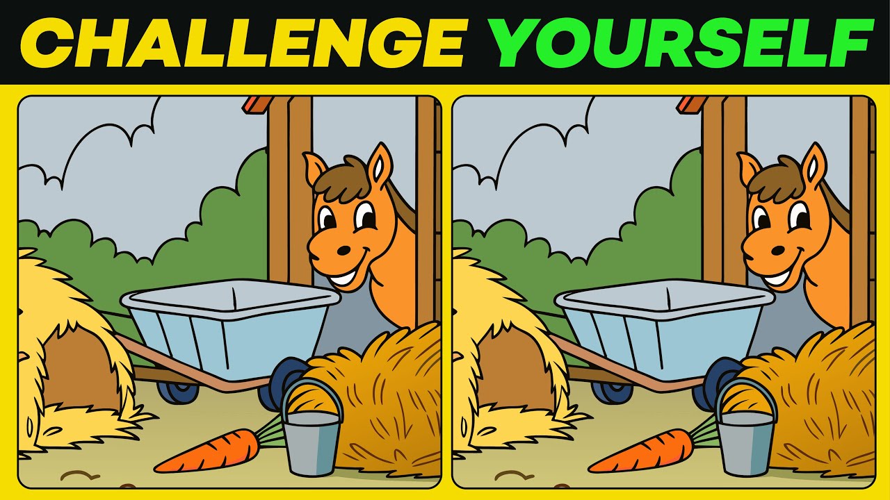 Only a True Genius Will Master This Epic Visual Challenge - YouTube