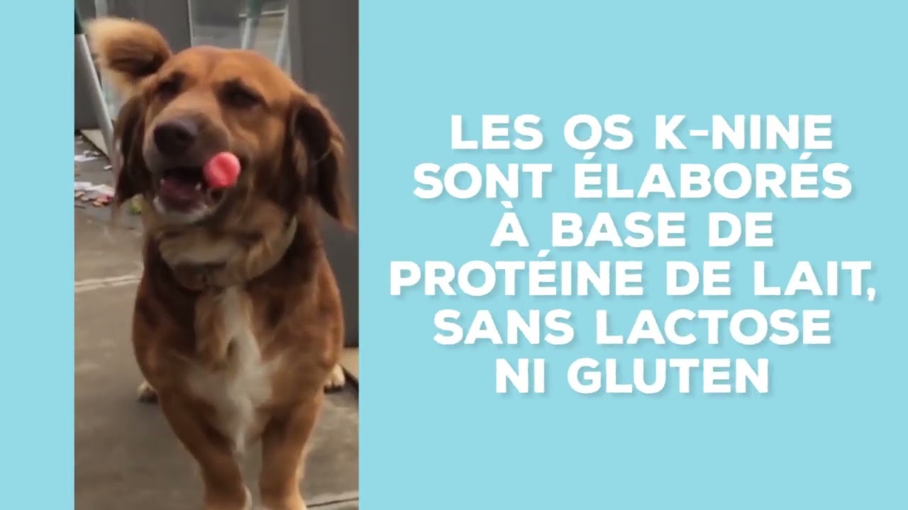 OS à mâcher pour chien au fromage canard et caséine