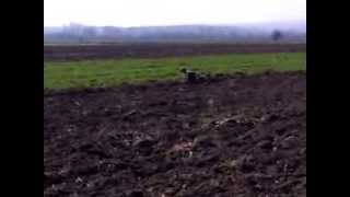 Loqo Markira Dok Iz Daleka Sekunda