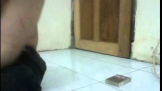 Capture 201508263
