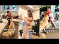 Dog Gets Jealous When His Brothers Hug Their Girlfriends