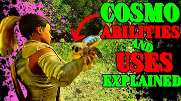 COSMO Abilities and Uses Guide!! How To Use COSMO and Its Secret Abilities!!!