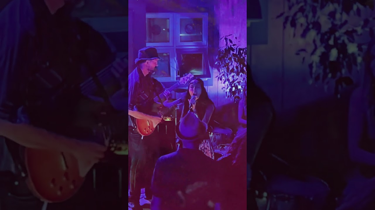 The PSychEdelic Hoedown 4/24/24 Fox Theatre - Promo Reel 3