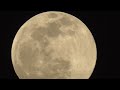 🇯🇵Lua Cheia Japão🇯🇵