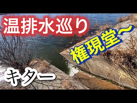 えーっこの時期に見えバスはいるの【温排水バス釣り】 おかっぱり
