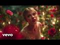 Taylor Swift Don T Let Go Official Music Video