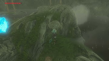 [DAY 243] of finding one korok seed everyday until Botw2 comes out