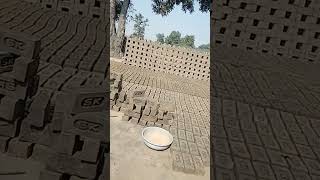 Saree Lover Saree Fashion Saree Shoot Indian Beauty Girls