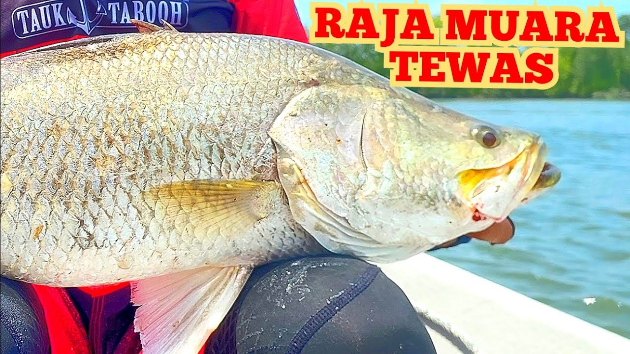 CASTING SIAKAP LIAR KUALA TRONG