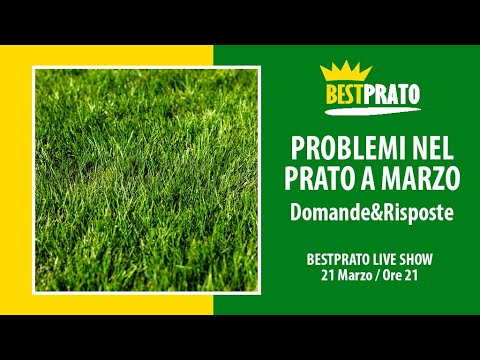 PROBLEMI DI MARZO NEL PRATO (Domande&Risposte) / BESTPRATO LIVE #224