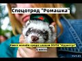 КВЕСТ ОНЛАЙН/ команда &quot;Спецотряд Ромашка&quot;/ ХОРЬКИ/ 2 место за 1 задание