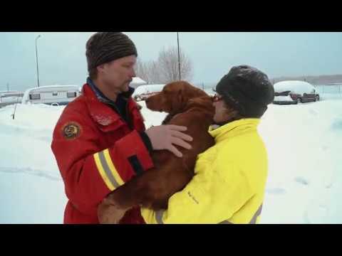 Video: Räddningshundvarningar Ägare Av Eld I Grannskapet