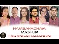 Hamsanadham  sarangatharangini mashup by raaga metro  film songs  classical  tamil  telugu