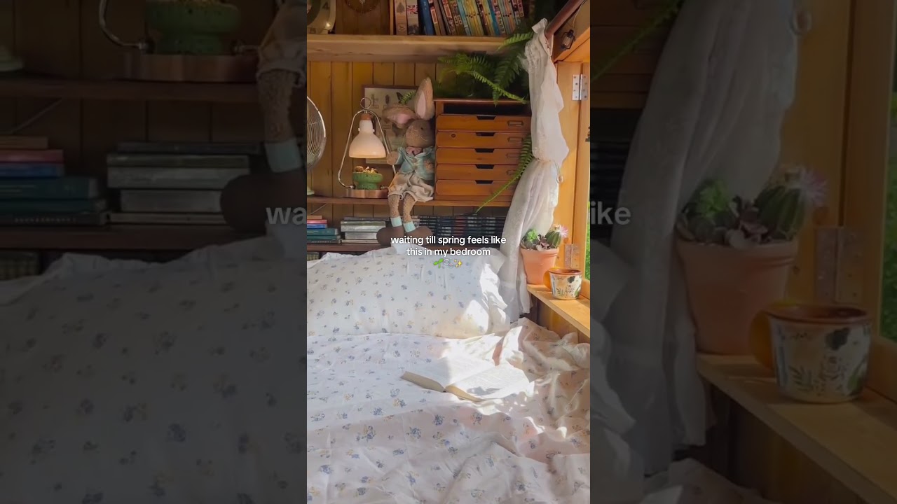 Waiting for spring 🌼