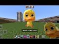 Crying duck nextbot added  mcpe  cnpart4addon