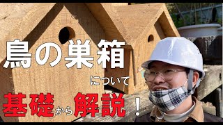 小鳥の巣箱　基礎から解説 (野鳥観察　巣箱