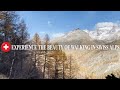 Beautiful nature walk in Switzerland. Life in village. Nature 4K video.