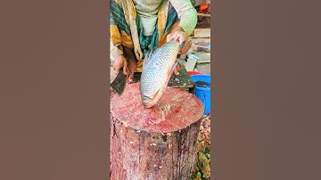 Incredible Rooster Fishing Patterns by Fish Experts😳 #shorts