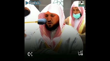{يانار كوني بردا وسلاما}تدبر وخشوع لفضيلة الشيخ د. #ماهر_المعيقلي من سورة الأنبياء #روائع_المعيقلي