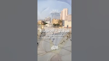 ما تيسر من سورة الشعراء💁‍♂️ |﴿ولا تخزني يوم يبعثون﴾ياسر الدوسري#قرآن #تلاوات_خاشعة #yasseraldossary