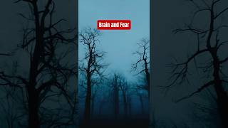 Brain and Fear | Psychology Fact! 😲🤯  #mindfact  #psychologyfacts #psychology