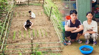 Quan and Phuong fenced the vegetable garden together/ Picked up Stream Snails to sell