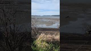 #coosbay#milicomamarshtrail