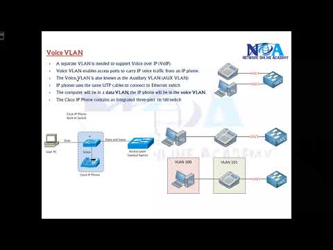 003 VLAN Types