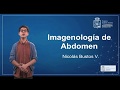 Imagenología de abdomen -  Anatomía