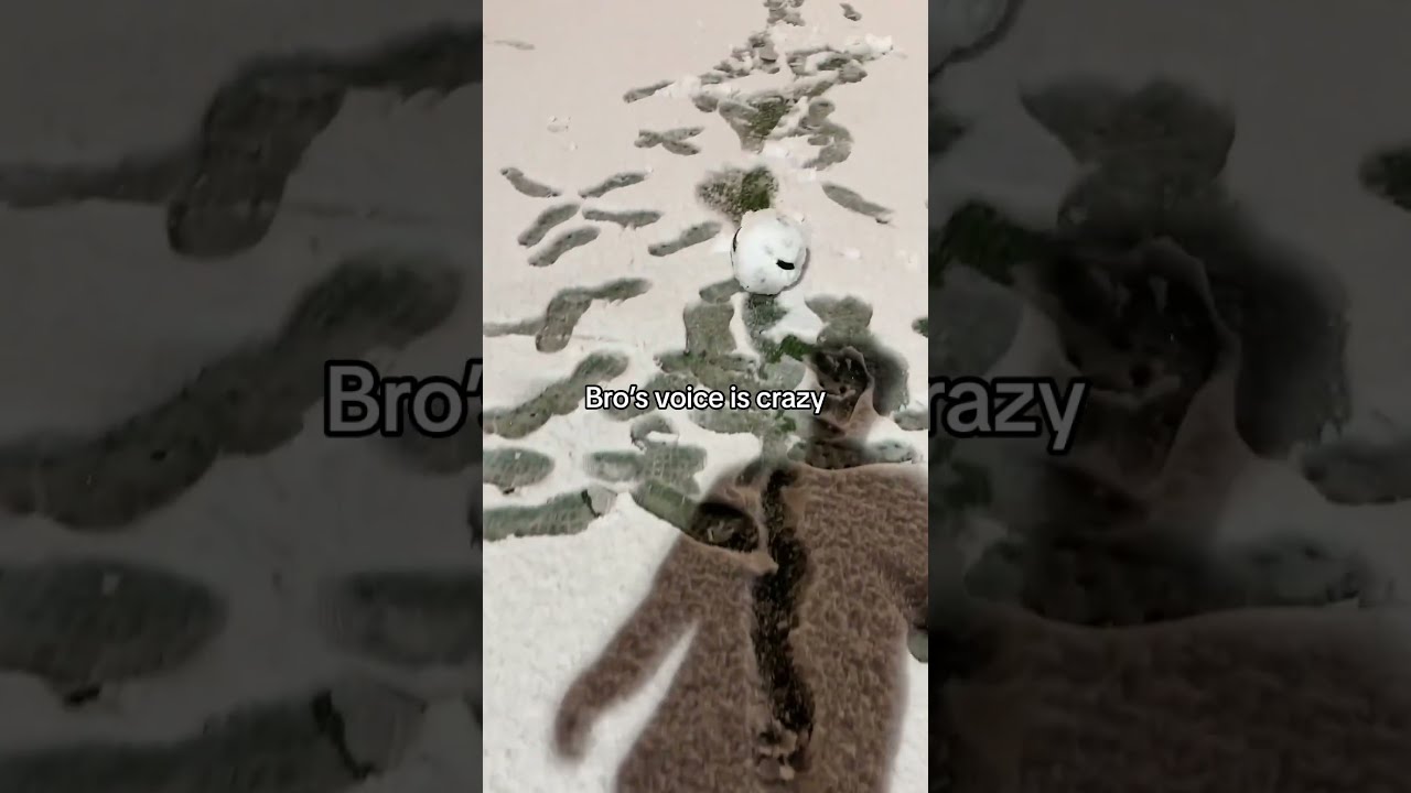 Bro S Voice Is Immaculate Via Youneszarou IG Shorts