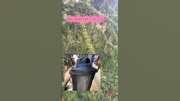 mũ Bảo hộ cắt cỏ 2lớp