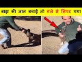 इन्सानों ने जब जानवरों की जान बचाई  । 10 Times Human Rescue Animals final