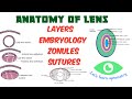 Anatomy of lens  crystalline lens