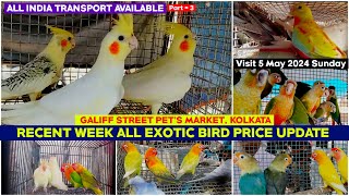 Recent Week All Exotic Bird Price Update | Galiff Street Pet Market 05/05/2024 Chepset Bird Market