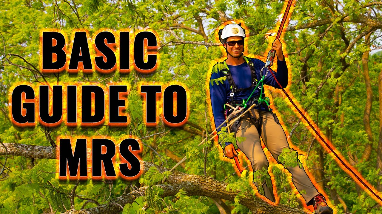 Tree Climbing with Pete: Moving Rope System/ DDRT